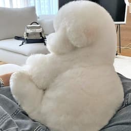 최고테스터의 프로필 이미지