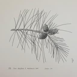 권병준의 프로필 이미지