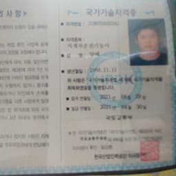 양배의 프로필 이미지