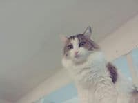 KimJeremy의 프로필 이미지