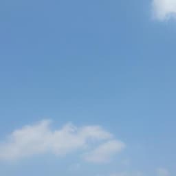 김성제의 프로필 이미지
