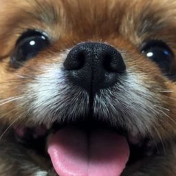 사용자 프로필 1