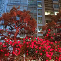 차은정의 프로필 이미지