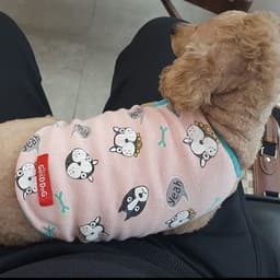 강신립의 프로필 이미지