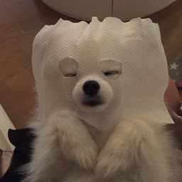 이가예의 프로필 이미지