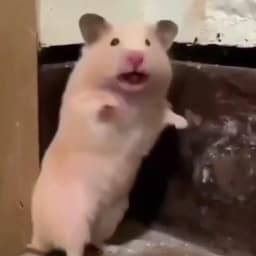 정지수의 프로필 이미지