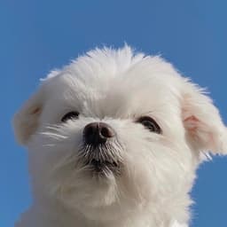 최지원의 프로필 이미지