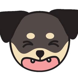 고민규의 프로필 이미지