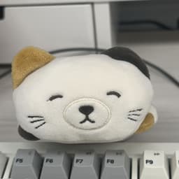 김효진의 프로필 이미지