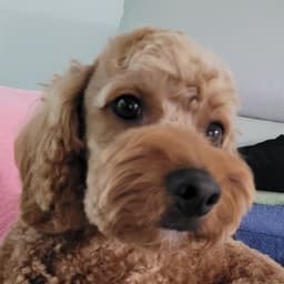 이지윤의 프로필 이미지