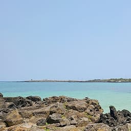 m.의 프로필 이미지