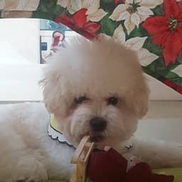 박효영의 프로필 이미지