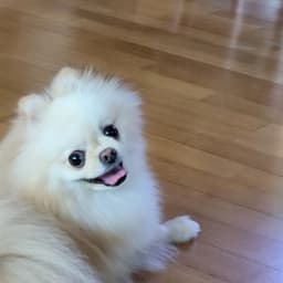 채세종의 프로필 이미지