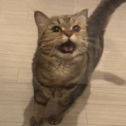 사용자 프로필 1