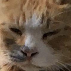 사용자 프로필 1