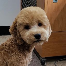 사용자 프로필 1