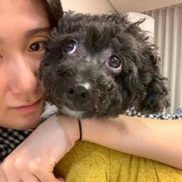 인지혜의 프로필 이미지