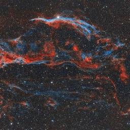 사용자 프로필 1