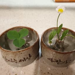 김규나의 프로필 이미지