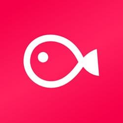 최주미의 프로필 이미지