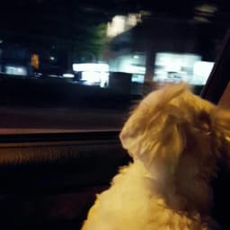 정진영의 프로필 이미지