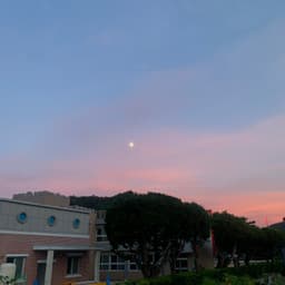 안지원의 프로필 이미지
