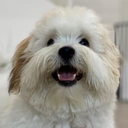 김진수의 프로필 이미지