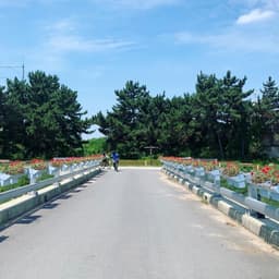 김슬미의 프로필 이미지