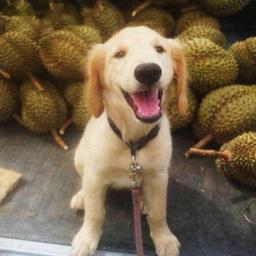 사용자 프로필 1