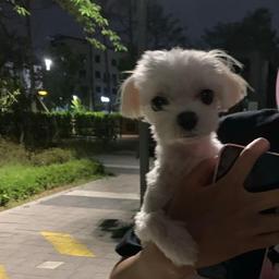 사용자 프로필 1