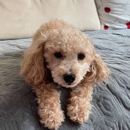 이재혁의 프로필 이미지