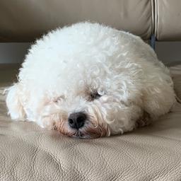 사용자 프로필 1