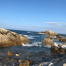 유용아의 프로필 이미지