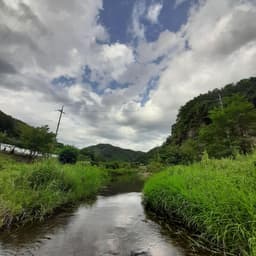 안상기의 프로필 이미지