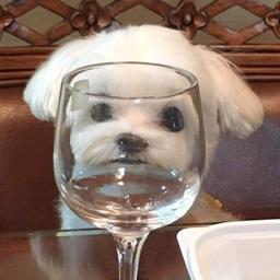 사용자 프로필 1