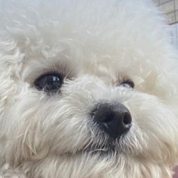 사용자 프로필 1