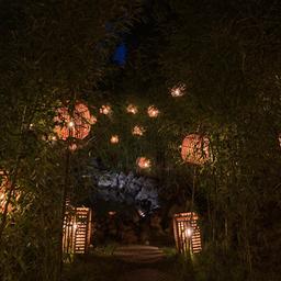 사용자 프로필 1