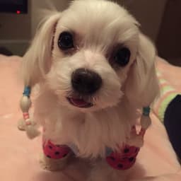 김민지의 프로필 이미지