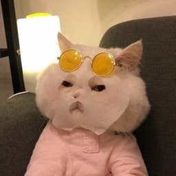 배정아의 프로필 이미지