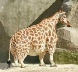 사용자 프로필 1