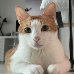 임동욱의 프로필 이미지