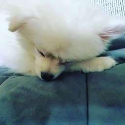 박경석의 프로필 이미지