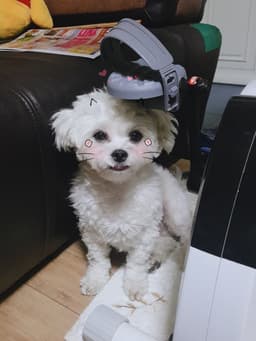 윤기준의 프로필 이미지