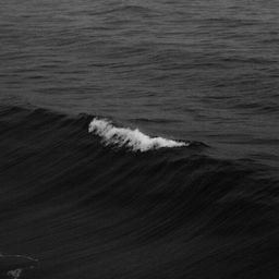 사용자 프로필 1