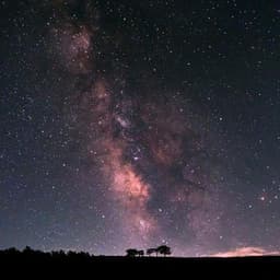 남하진의 프로필 이미지