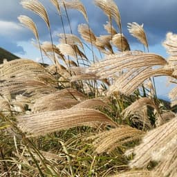 원창희의 프로필 이미지