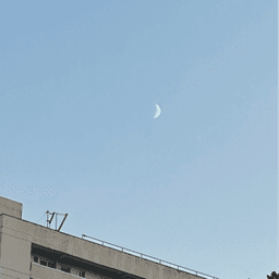 김가윤의 프로필 이미지