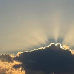 이민경의 프로필 이미지