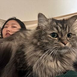 사용자 프로필 1