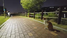김태호의 프로필 이미지